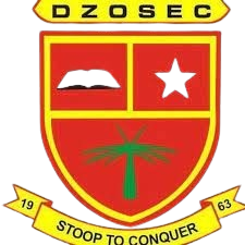 DZODZE-PENYI SENIOR HIGH SCHOOL